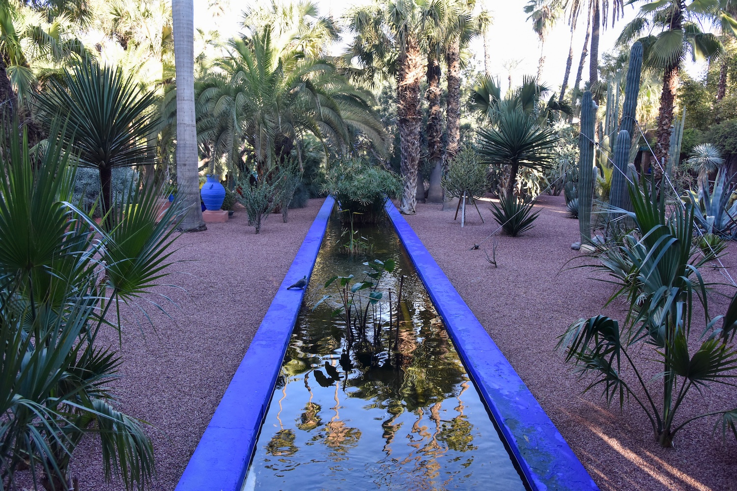 Jardin Majorelle