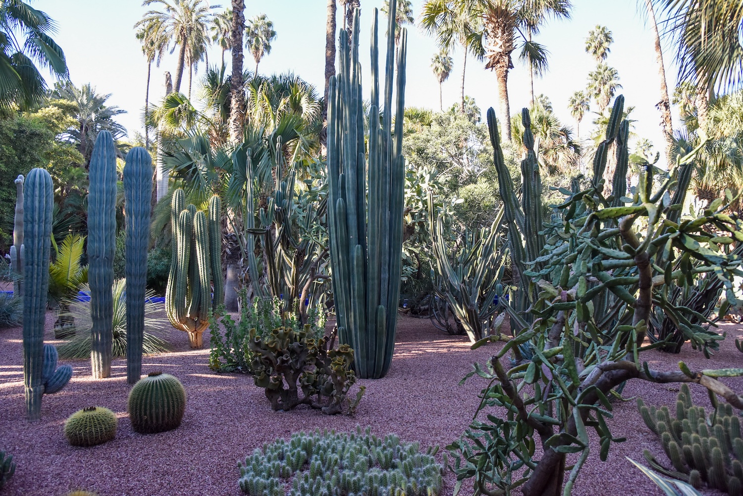Jardin Majorelle