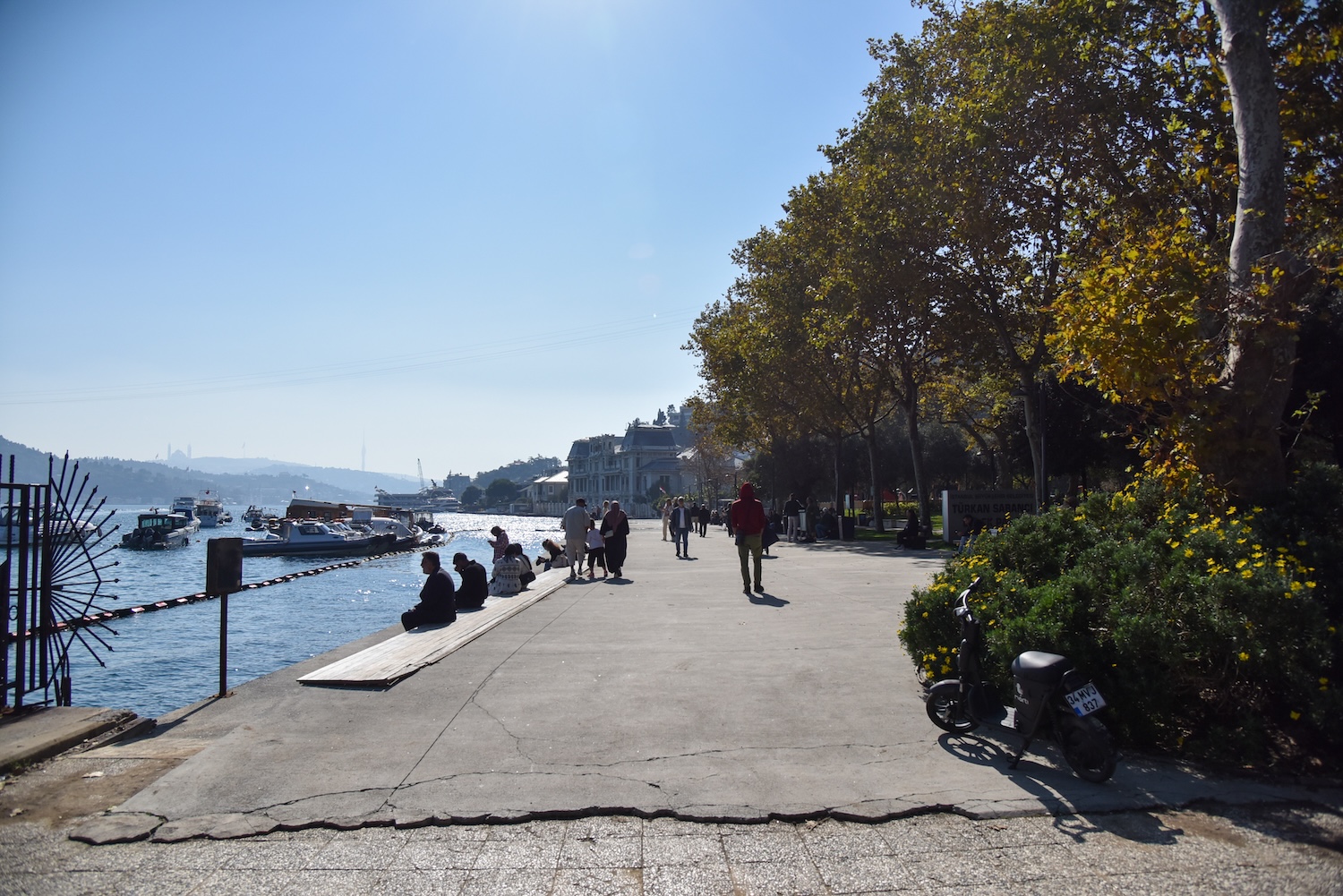 Bebek